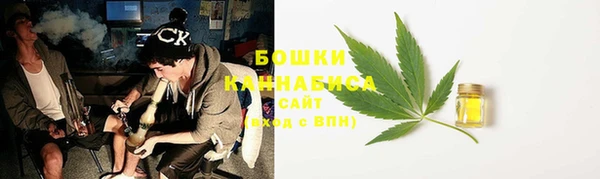дурь Богданович