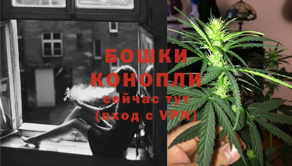 дурь Богданович