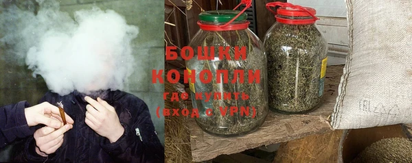 дурь Богданович