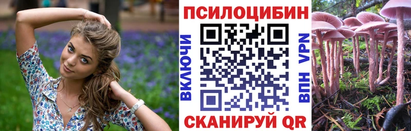 наркота  Кондрово  Псилоцибиновые грибы мицелий 