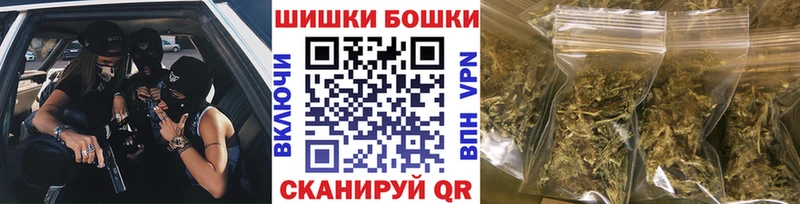 Конопля сатива  Кондрово 
